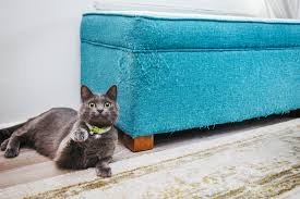 How to Stop Your Cat from Scratching Furniture