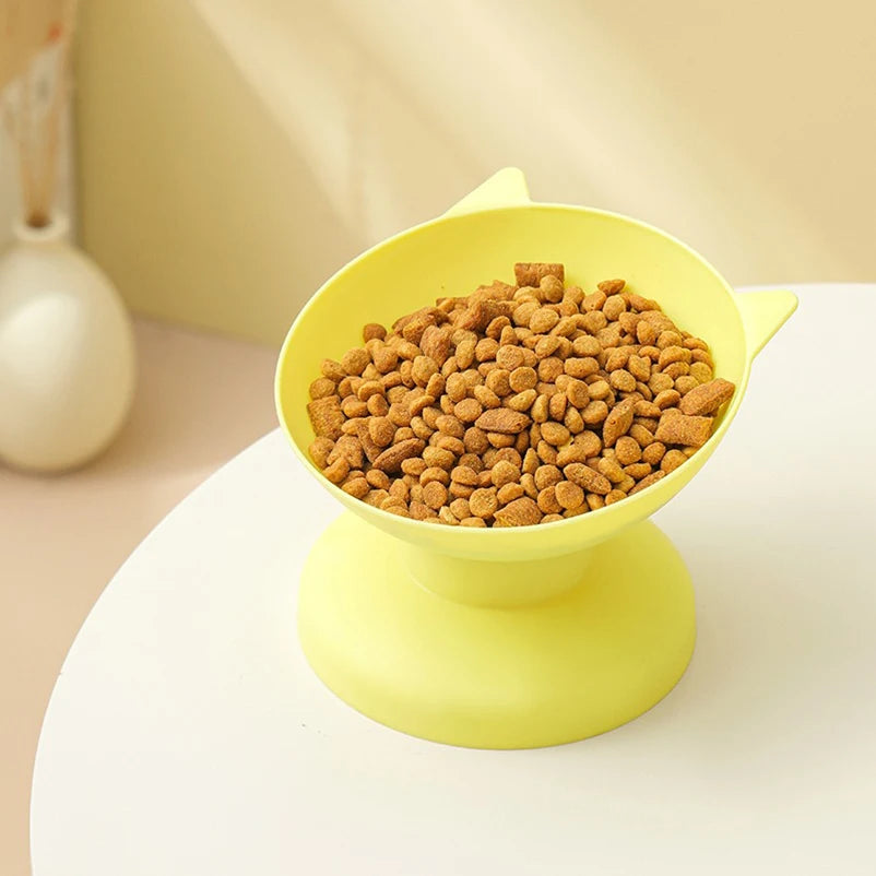 45° elevated pet feeding bowl