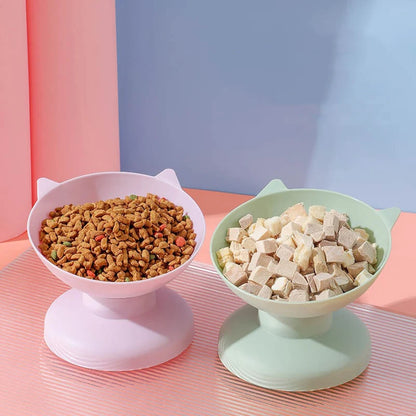 45° Elevated Pet Feeding Bowl