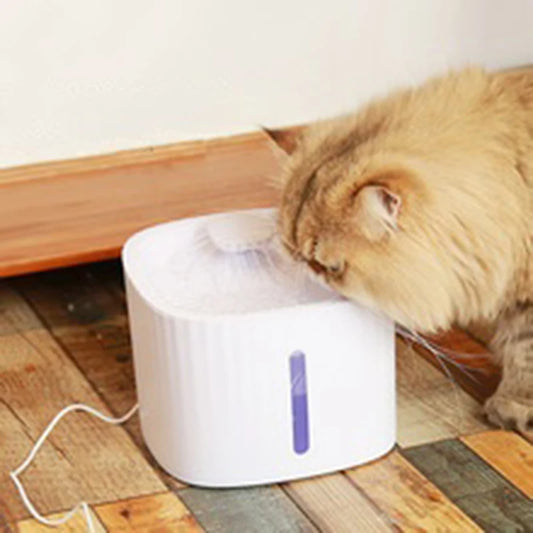 Circulating Pet Drinking Fountain