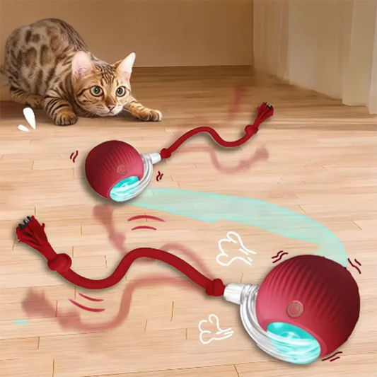 Teasing cat balls