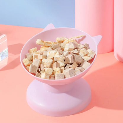 45° Elevated Pet Feeding Bowl